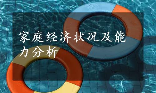 家庭经济状况及能力分析