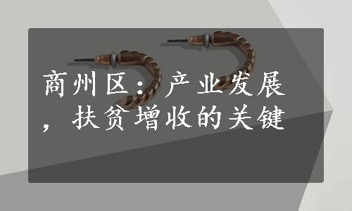 商州区：产业发展，扶贫增收的关键