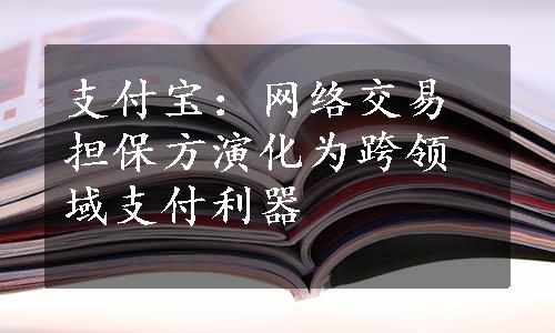 支付宝：网络交易担保方演化为跨领域支付利器