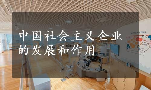 中国社会主义企业的发展和作用