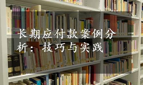 长期应付款案例分析：技巧与实践