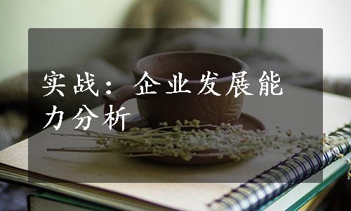 实战：企业发展能力分析