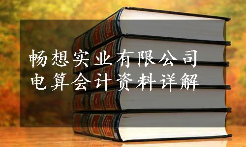 畅想实业有限公司电算会计资料详解