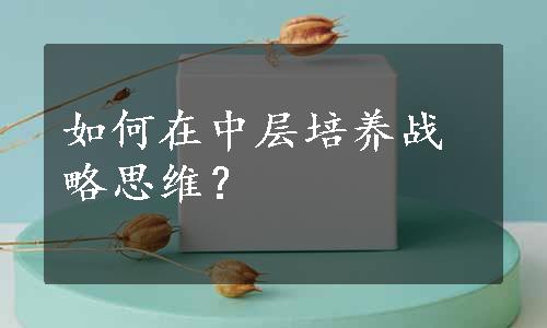 如何在中层培养战略思维？