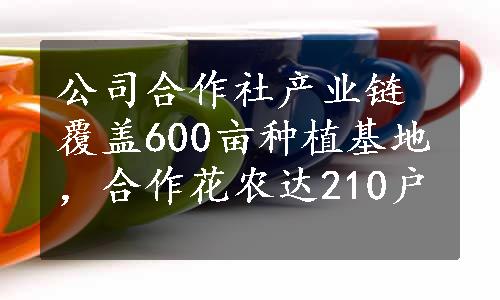 公司合作社产业链覆盖600亩种植基地，合作花农达210户