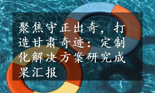 聚焦守正出奇，打造甘肃奇迹：定制化解决方案研究成果汇报