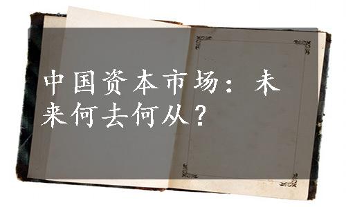 中国资本市场：未来何去何从？