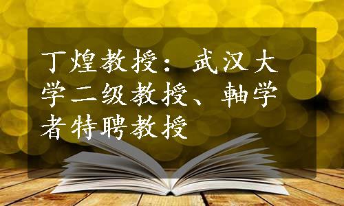 丁煌教授：武汉大学二级教授、軸学者特聘教授