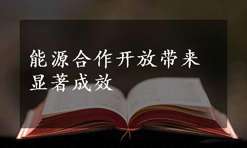 能源合作开放带来显著成效