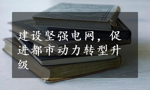 建设坚强电网，促进都市动力转型升级