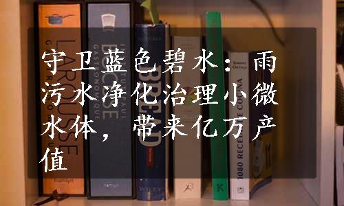 守卫蓝色碧水：雨污水净化治理小微水体，带来亿万产值