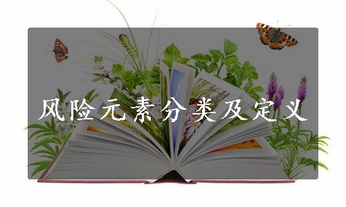 风险元素分类及定义