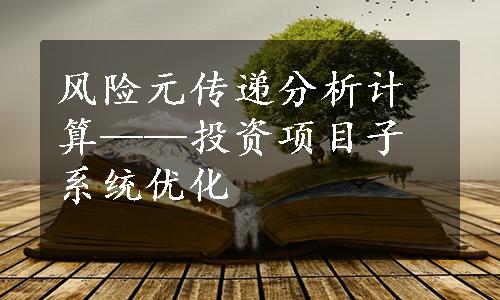 风险元传递分析计算——投资项目子系统优化