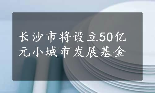 长沙市将设立50亿元小城市发展基金