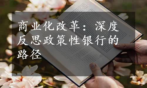 商业化改革：深度反思政策性银行的路径