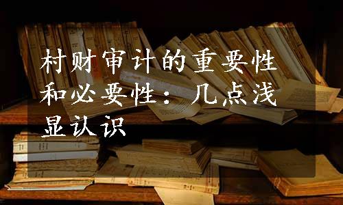 村财审计的重要性和必要性：几点浅显认识