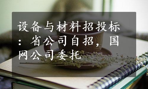 设备与材料招投标：省公司自招，国网公司委托