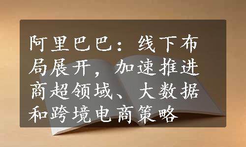 阿里巴巴：线下布局展开，加速推进商超领域、大数据和跨境电商策略