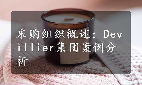 采购组织概述：Devillier集团案例分析