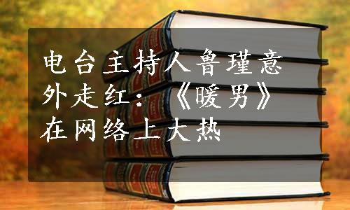 电台主持人鲁瑾意外走红：《暖男》在网络上大热