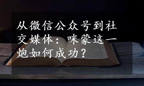 从微信公众号到社交媒体：咪蒙这一炮如何成功？