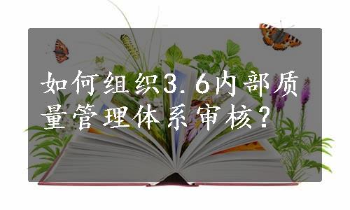 如何组织3.6内部质量管理体系审核？