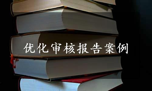 优化审核报告案例