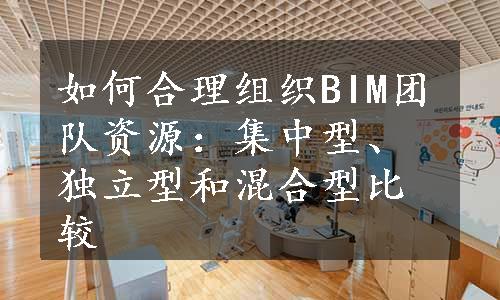 如何合理组织BIM团队资源：集中型、独立型和混合型比较