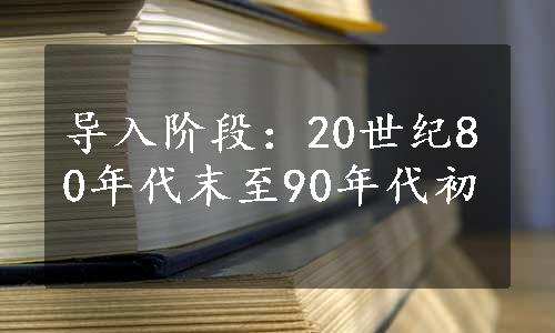 导入阶段：20世纪80年代末至90年代初