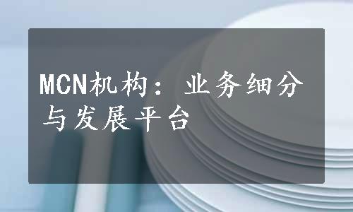 MCN机构：业务细分与发展平台