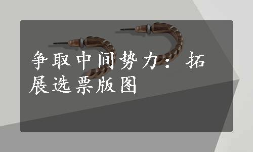 争取中间势力：拓展选票版图