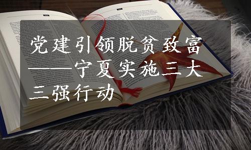 党建引领脱贫致富——宁夏实施三大三强行动