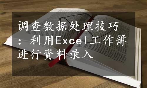 调查数据处理技巧：利用Excel工作簿进行资料录入