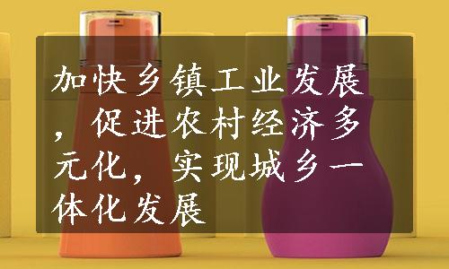 加快乡镇工业发展，促进农村经济多元化，实现城乡一体化发展