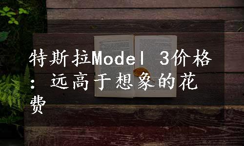 特斯拉Model 3价格：远高于想象的花费