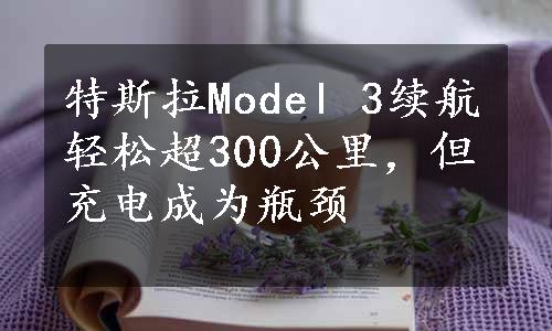 特斯拉Model 3续航轻松超300公里，但充电成为瓶颈