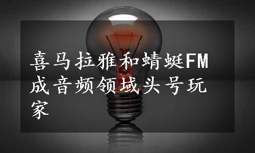 喜马拉雅和蜻蜓FM成音频领域头号玩家