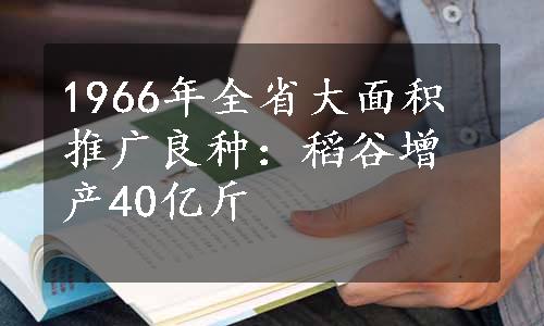 1966年全省大面积推广良种：稻谷增产40亿斤