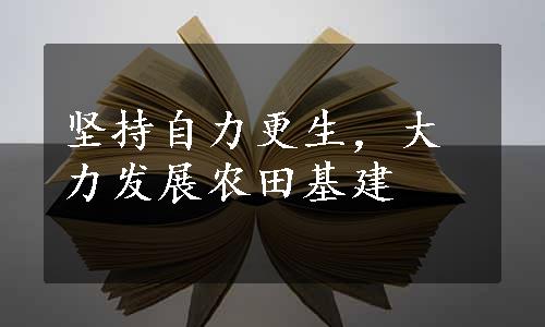 坚持自力更生，大力发展农田基建