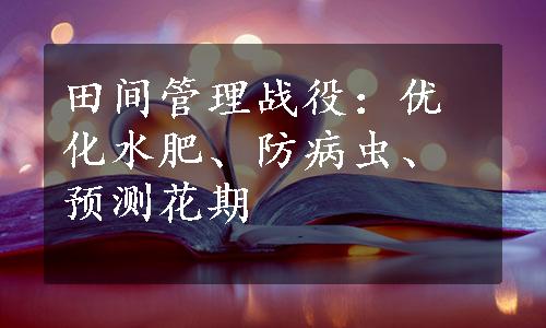 田间管理战役：优化水肥、防病虫、预测花期