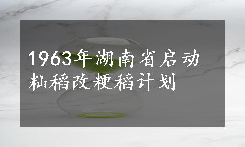 1963年湖南省启动籼稻改粳稻计划