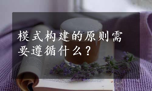 模式构建的原则需要遵循什么？