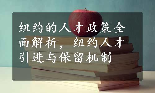 纽约的人才政策全面解析，纽约人才引进与保留机制