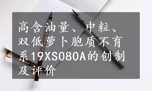 高含油量、中粒、双低萝卜胞质不育系19XS080A的创制及评价