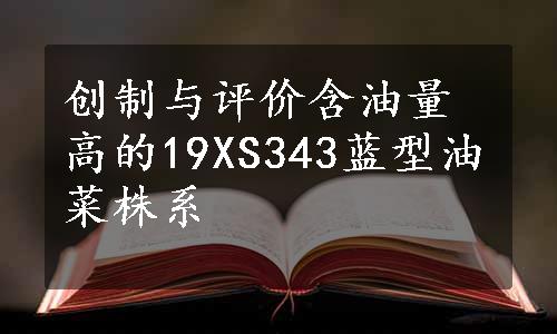 创制与评价含油量高的19XS343蓝型油菜株系