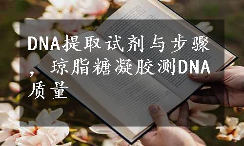 DNA提取试剂与步骤，琼脂糖凝胶测DNA质量