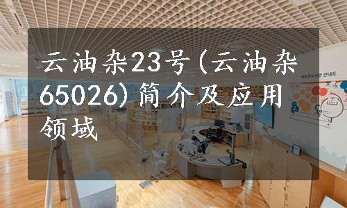 云油杂23号(云油杂65026)简介及应用领域