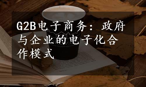 G2B电子商务：政府与企业的电子化合作模式