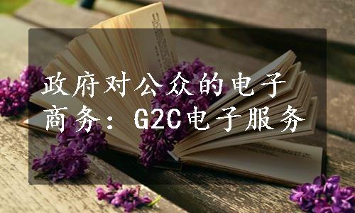 政府对公众的电子商务：G2C电子服务