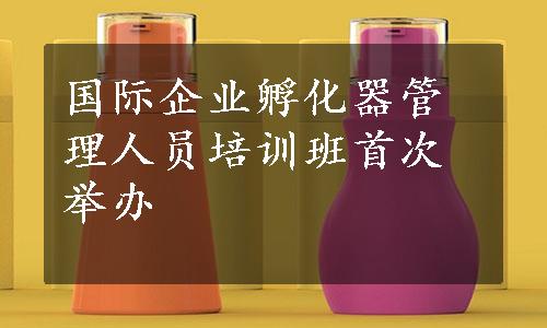 国际企业孵化器管理人员培训班首次举办